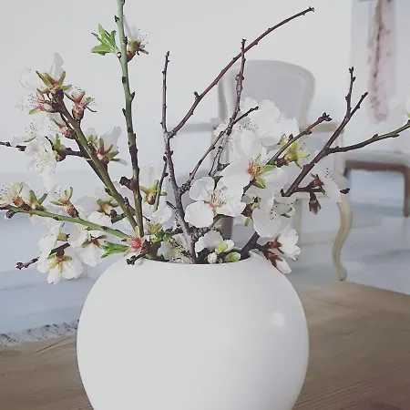 Artemis Sunny Antiparos Town