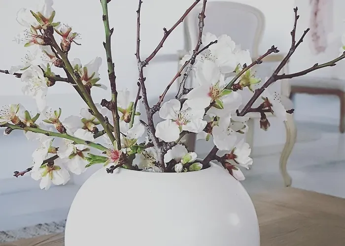 Artemis Sunny Antiparos Town